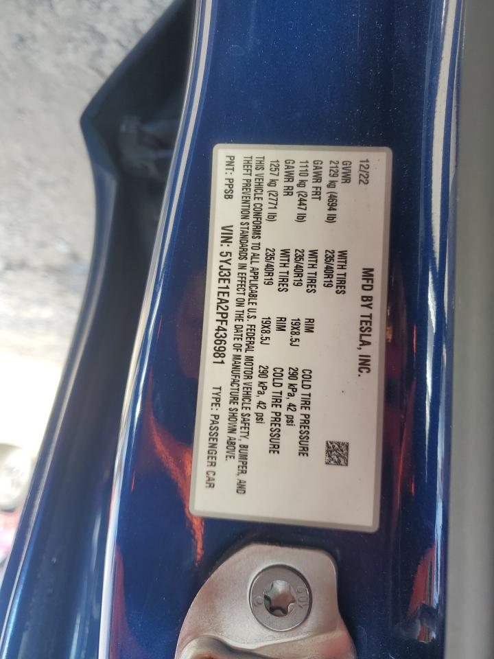 2023 Tesla Model 3 VIN: 5YJ3E1EA2PF436981 Lot: 91131385