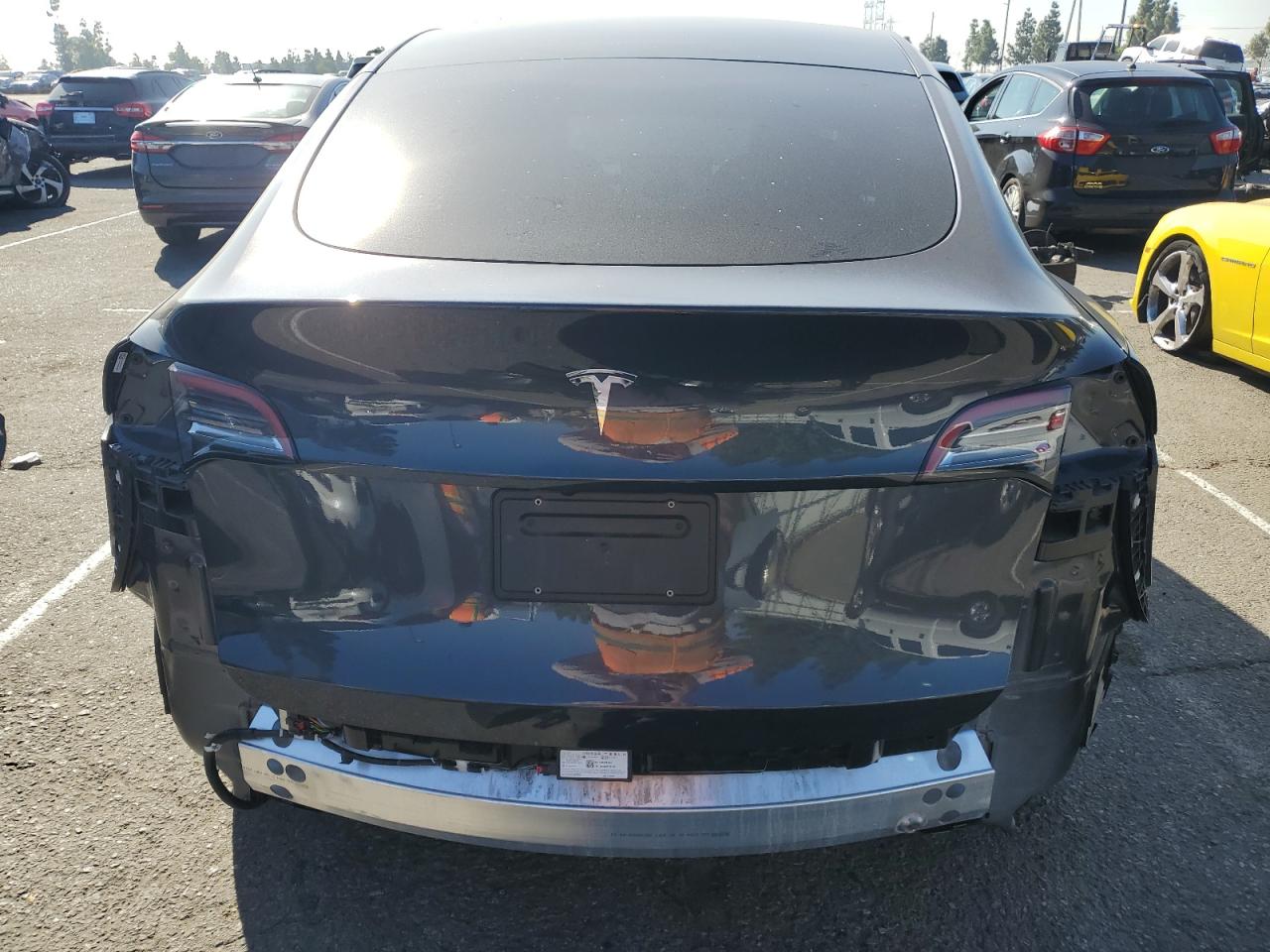 2024 Tesla Model Y VIN: 7SAYGDED5RF097313 Lot: 91060415