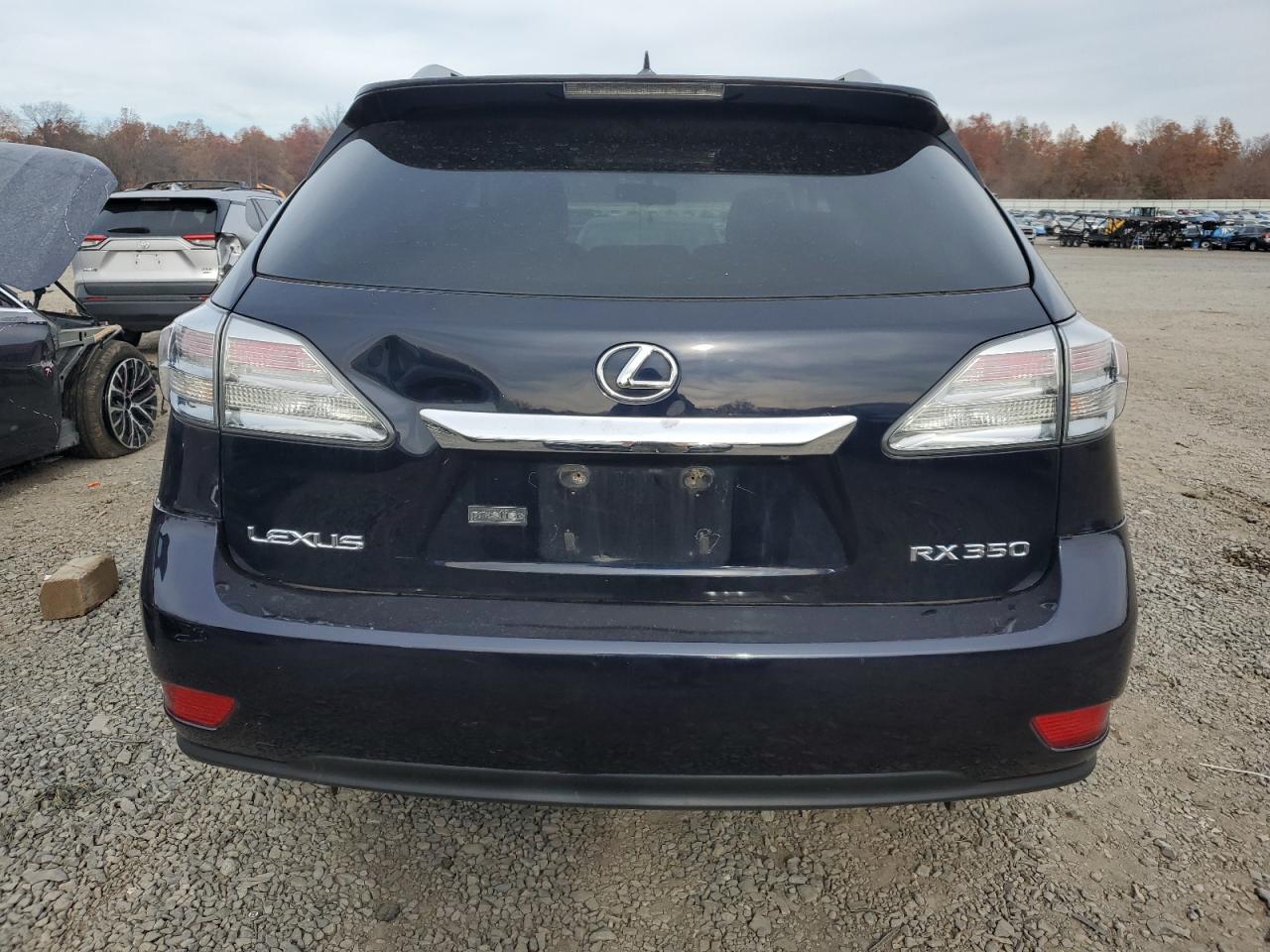 2010 Lexus Rx 350 VIN: 2T2BK1BA9AC025061 Lot: 90746245