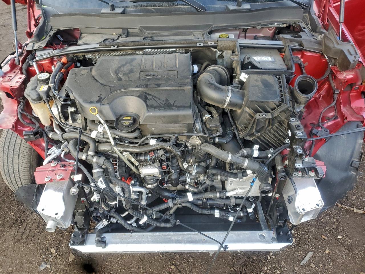 2024 Land Rover Discovery Sport S VIN: SALCJ2FX9RH342337 Lot: 93466075