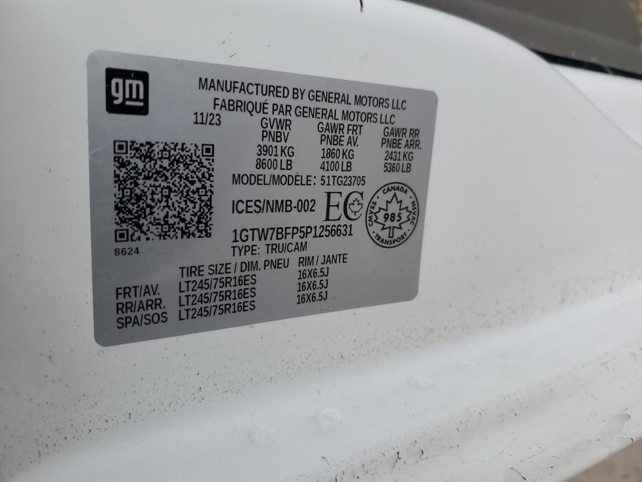 2023 GMC Savana G2500 VIN: 1GTW7BFP5P1256631 Lot: 92508775