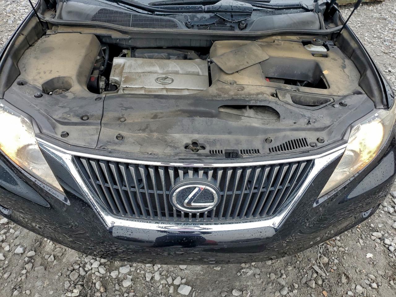 2011 Lexus Rx 350 VIN: JTJZK1BA5B2003784 Lot: 93476565