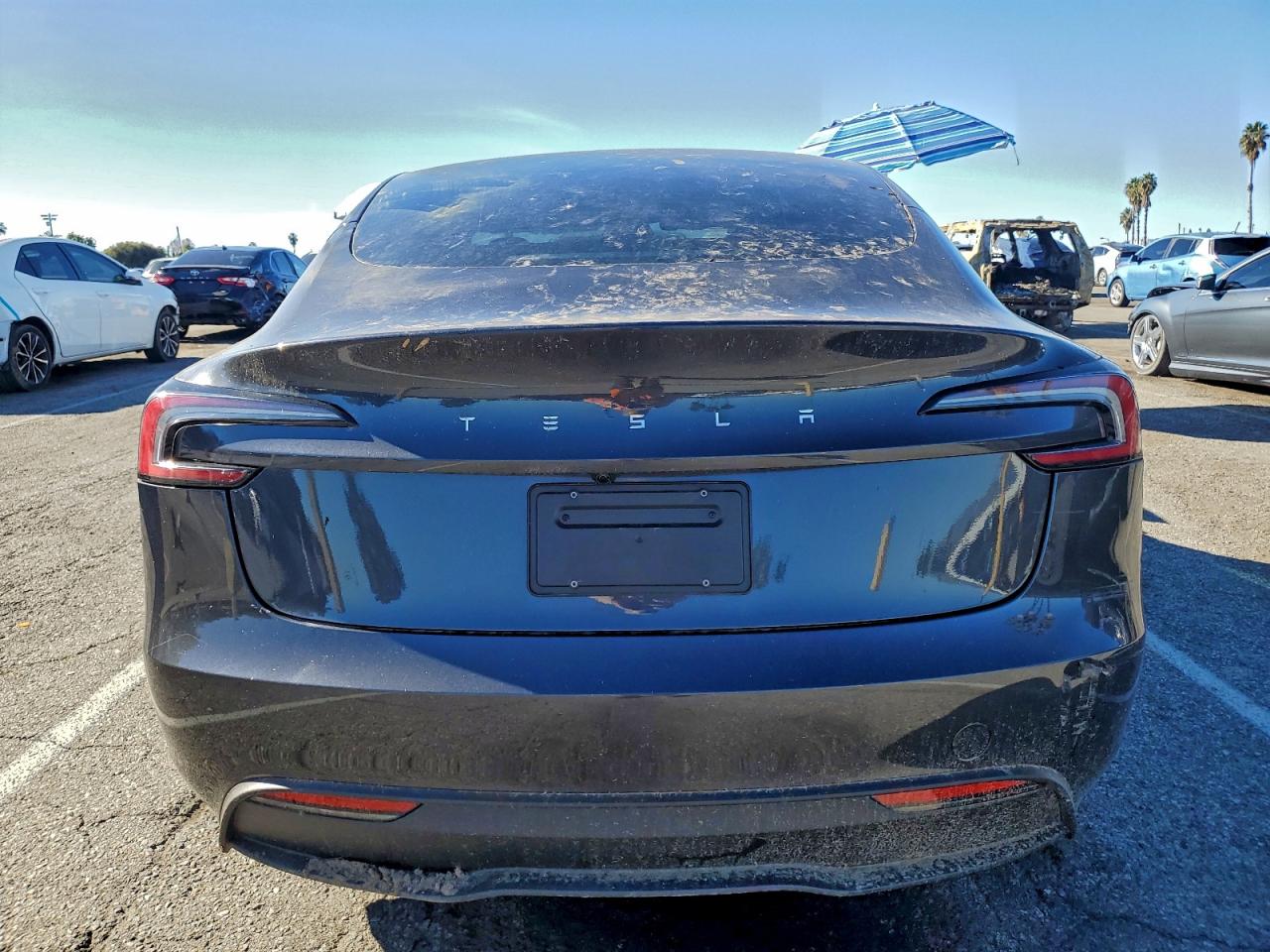 2025 Tesla Model 3 VIN: 5YJ3E1EA2SF901591 Lot: 93619145