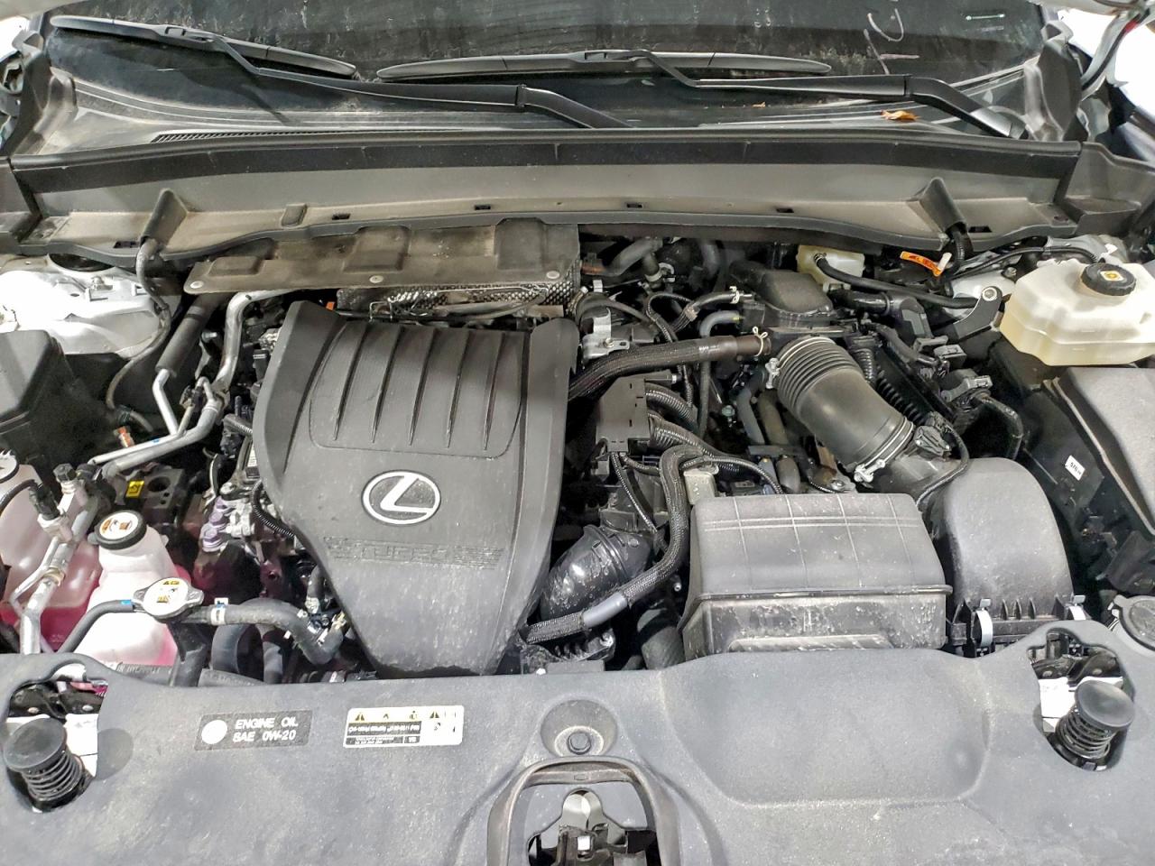 2024 Lexus Tx 500H F Sport Premium VIN: 5TDABAB69RS003723 Lot: 93824795