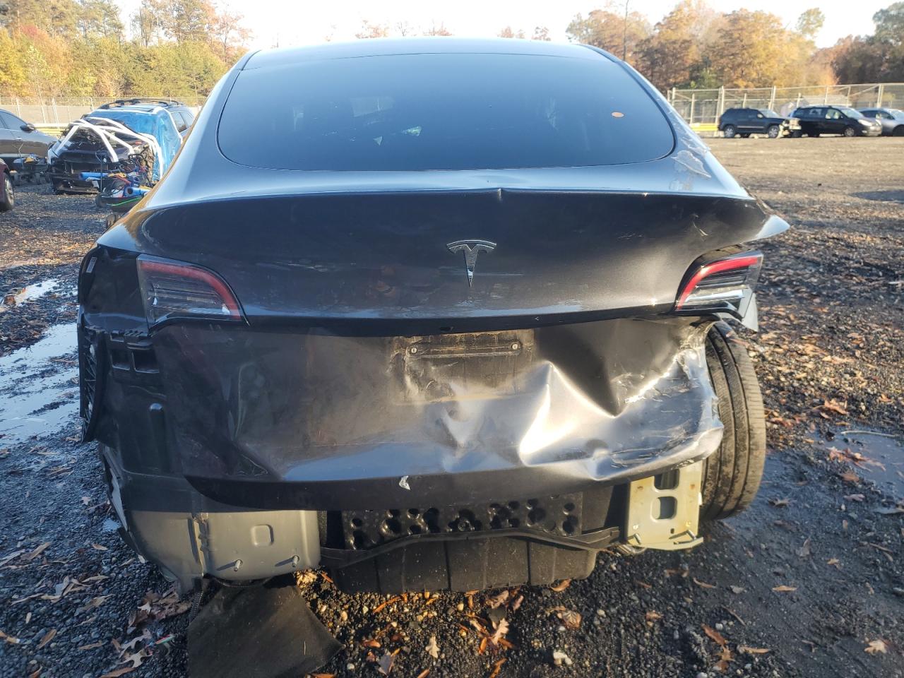 2024 Tesla Model Y VIN: 7SAYGDEE1RA218828 Lot: 90925445