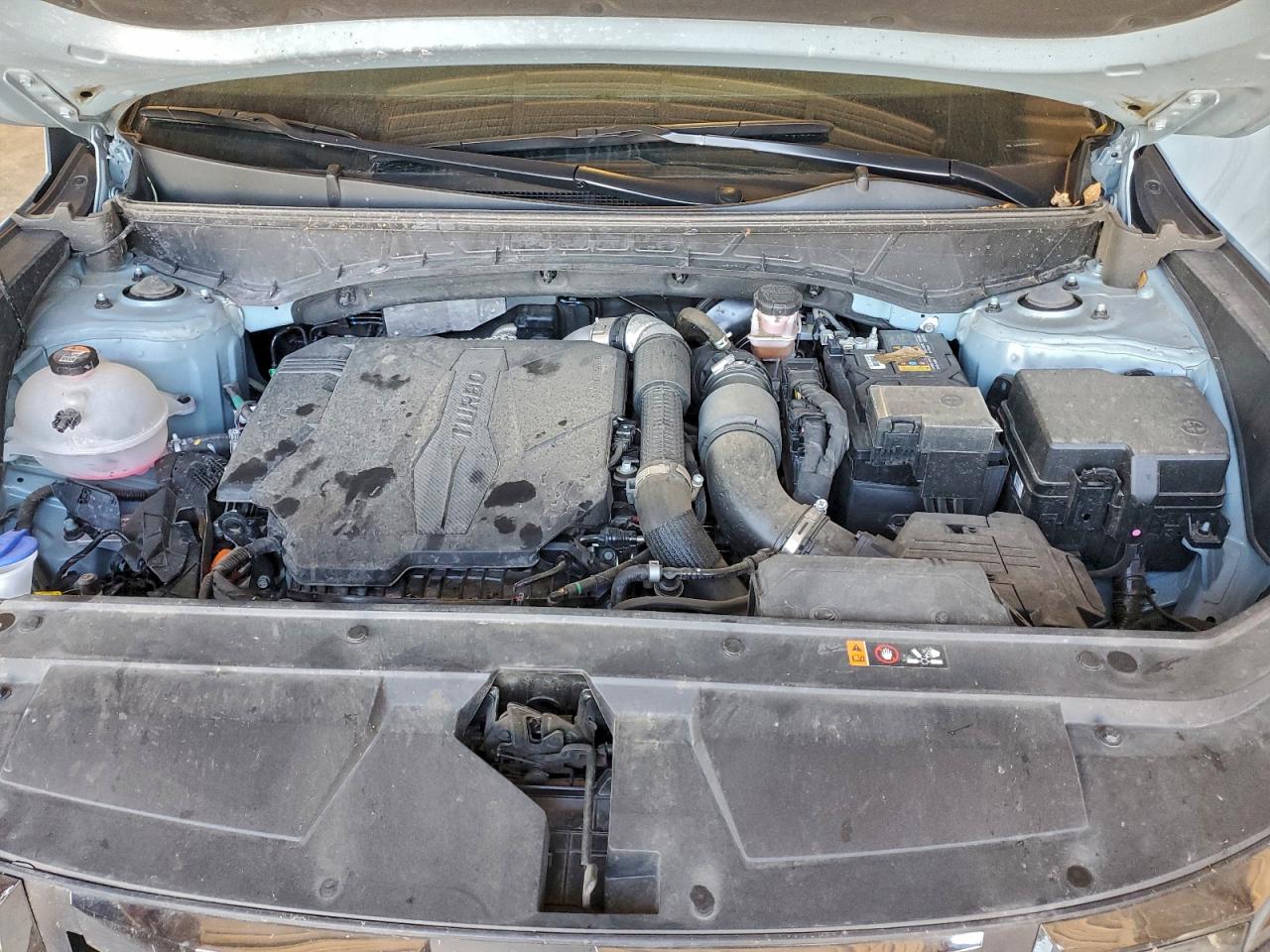 2024 Hyundai Santa Cruz Limited VIN: 5NTJEDDF2RH103577 Lot: 94266845