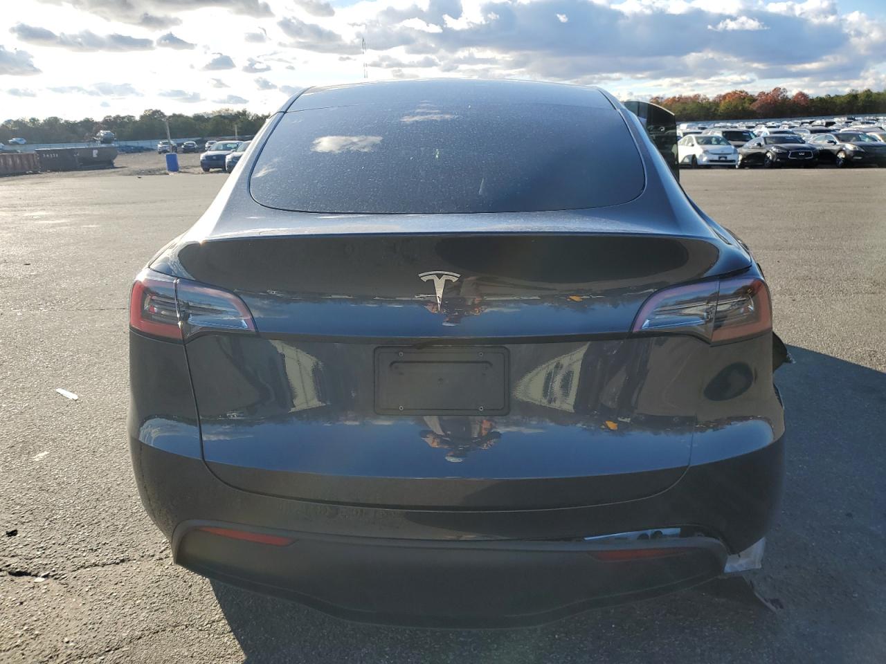2024 Tesla Model Y VIN: 7SAYGDED9RF099811 Lot: 90992675