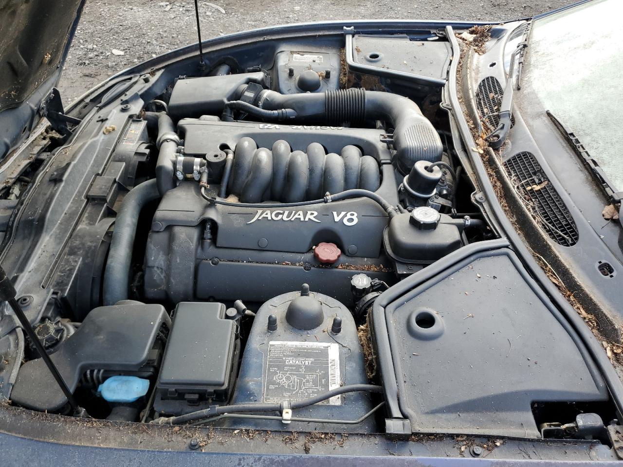 1998 Jaguar Xk8 VIN: SAJGX5249WC018772 Lot: 92347265