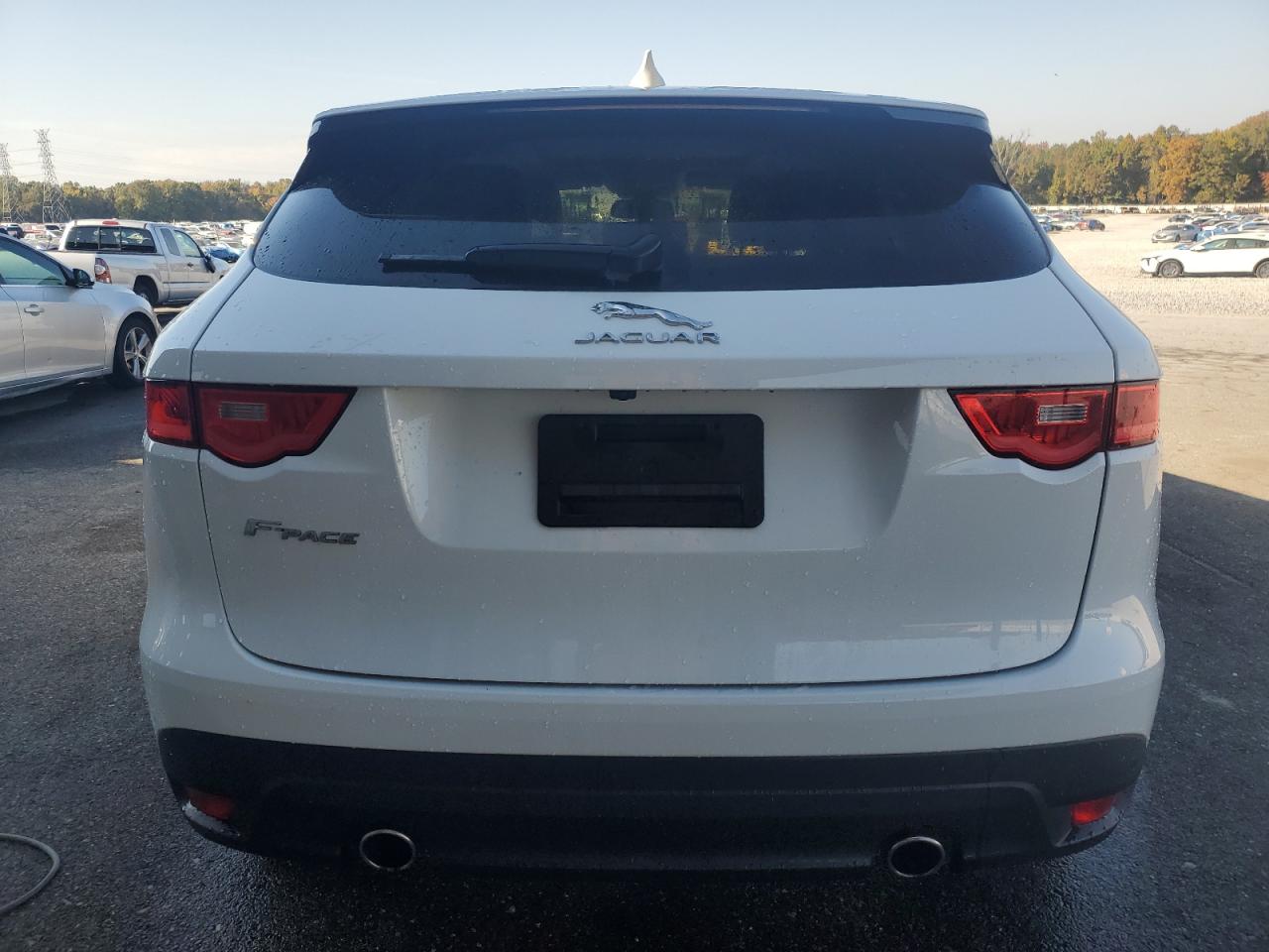 2017 Jaguar F-Pace Premium VIN: SADCJ2BV3HA495058 Lot: 91072435