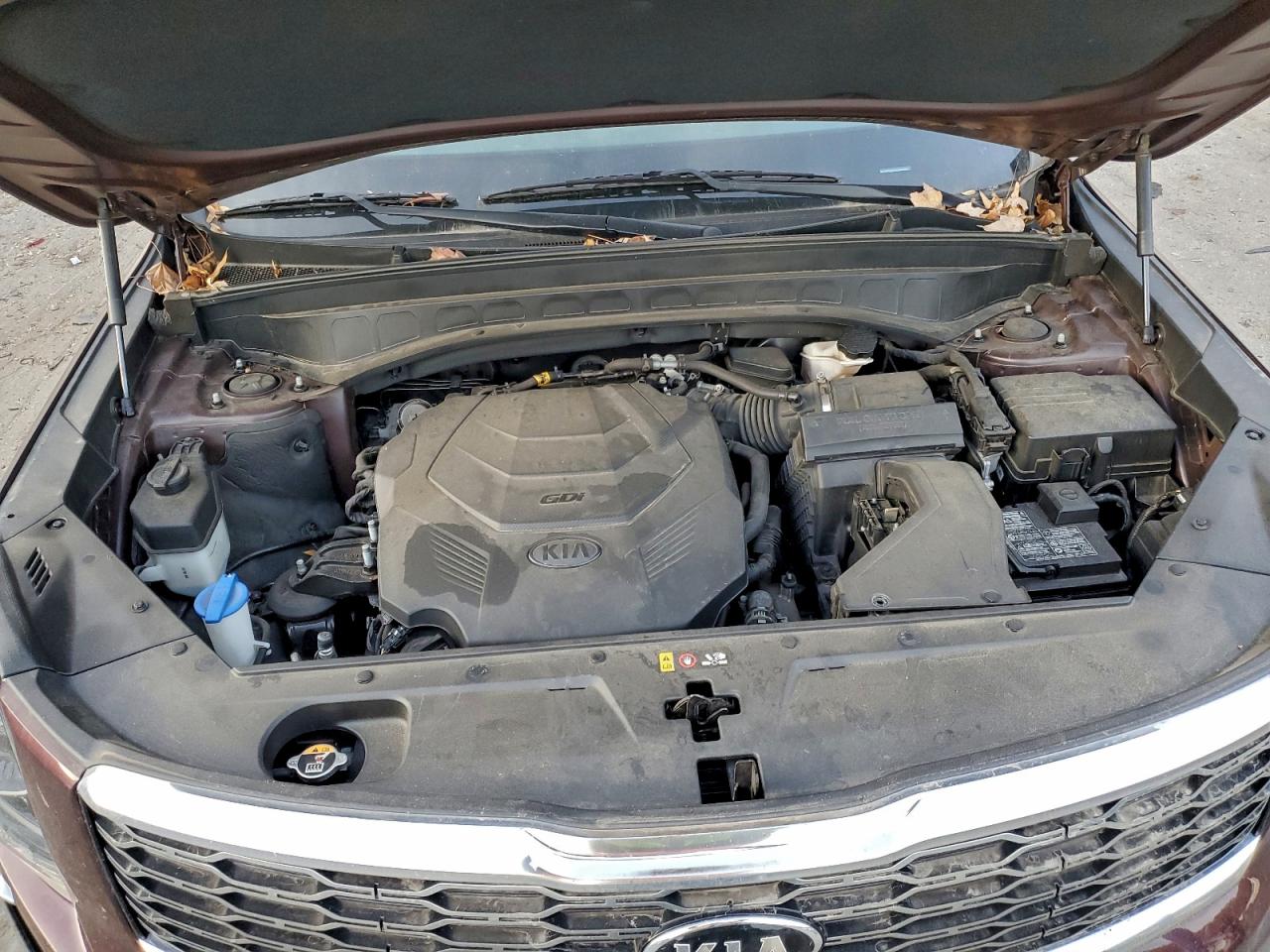 2020 Kia Telluride Ex VIN: 5XYP3DHC4LG044030 Lot: 93310735