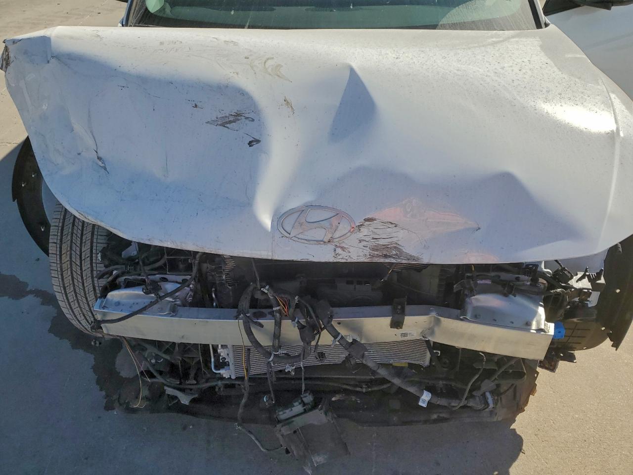 2025 Hyundai Ioniq 5 Se VIN: 7YAKM4DB1SY036003 Lot: 91990085