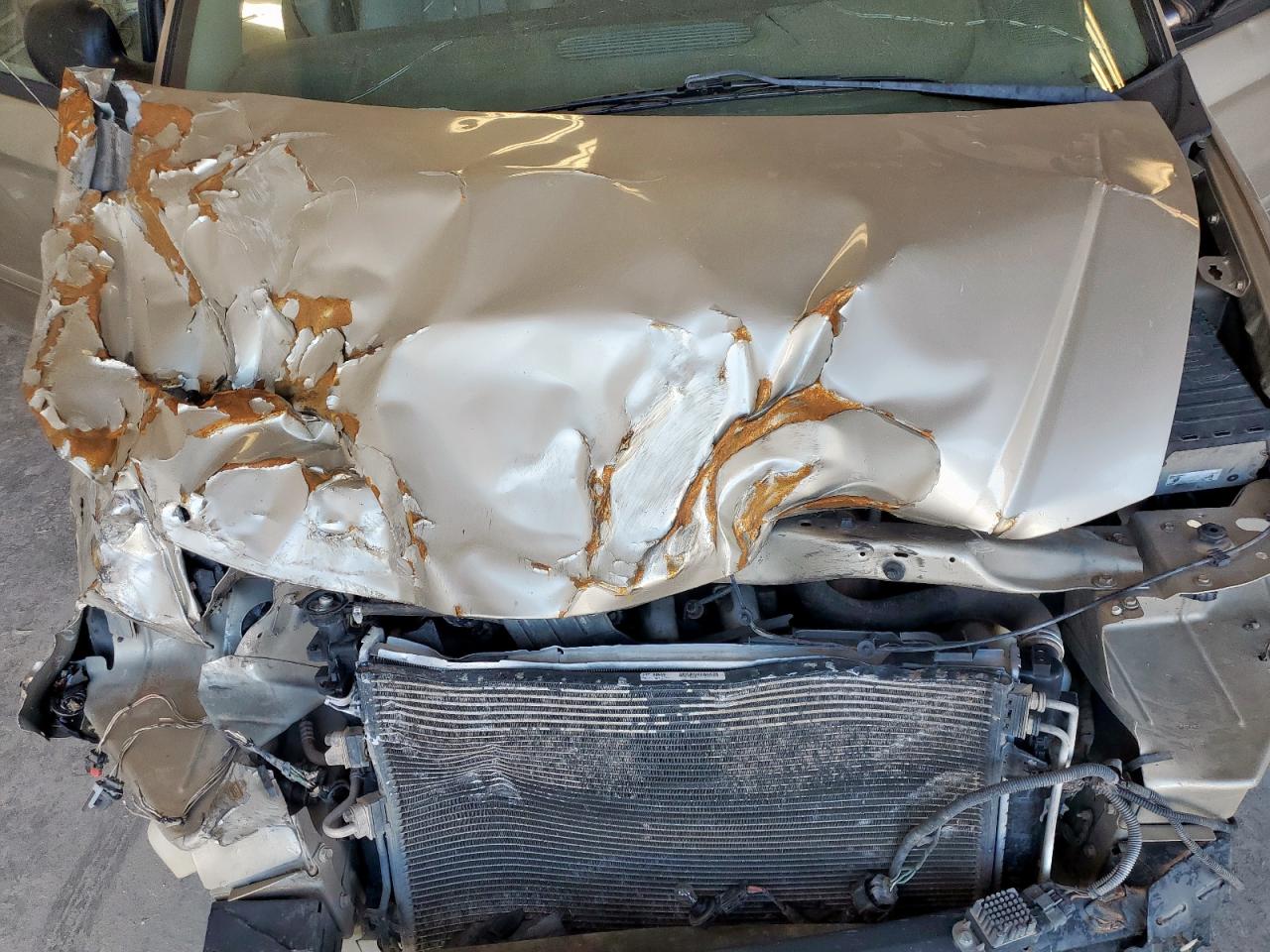 2007 Dodge Grand Caravan Sxt VIN: 2D4GP44L47R344469 Lot: 85394825