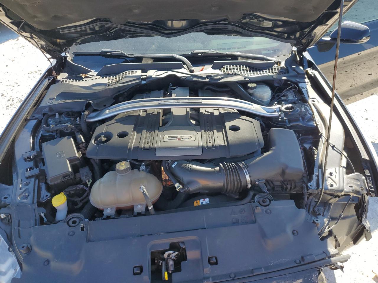 2018 Ford Mustang Gt VIN: 1FA6P8CF3J5101225 Lot: 91421325