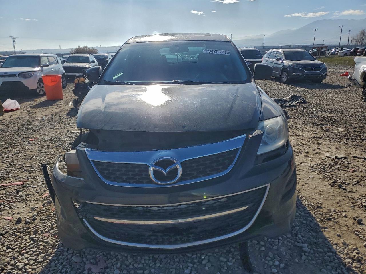 2011 Mazda Cx-9 VIN: JM3TB3CV7B0306123 Lot: 94251215