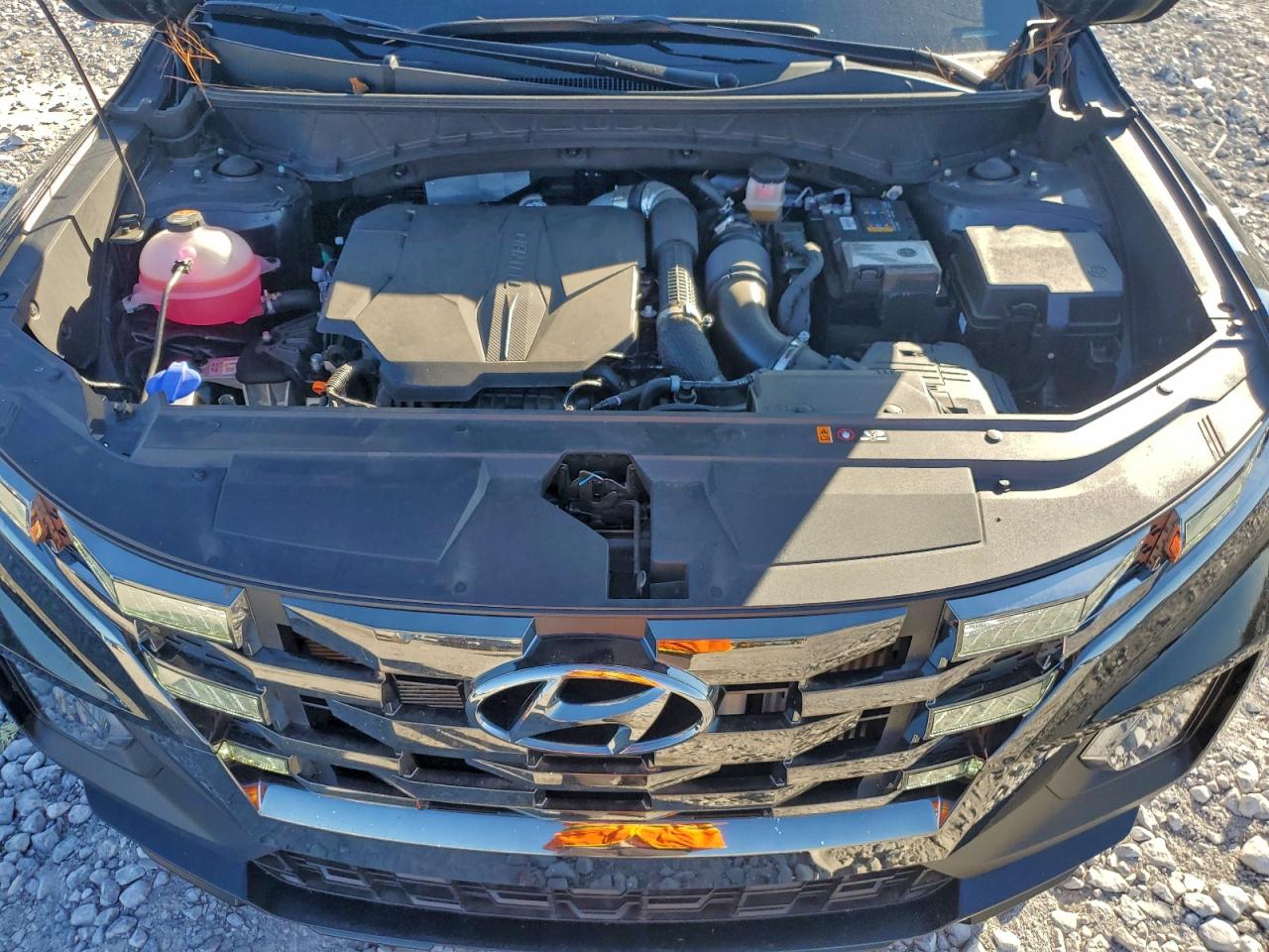 2024 Hyundai Santa Cruz Night VIN: 5NTJCDDF8RH123998 Lot: 94244835