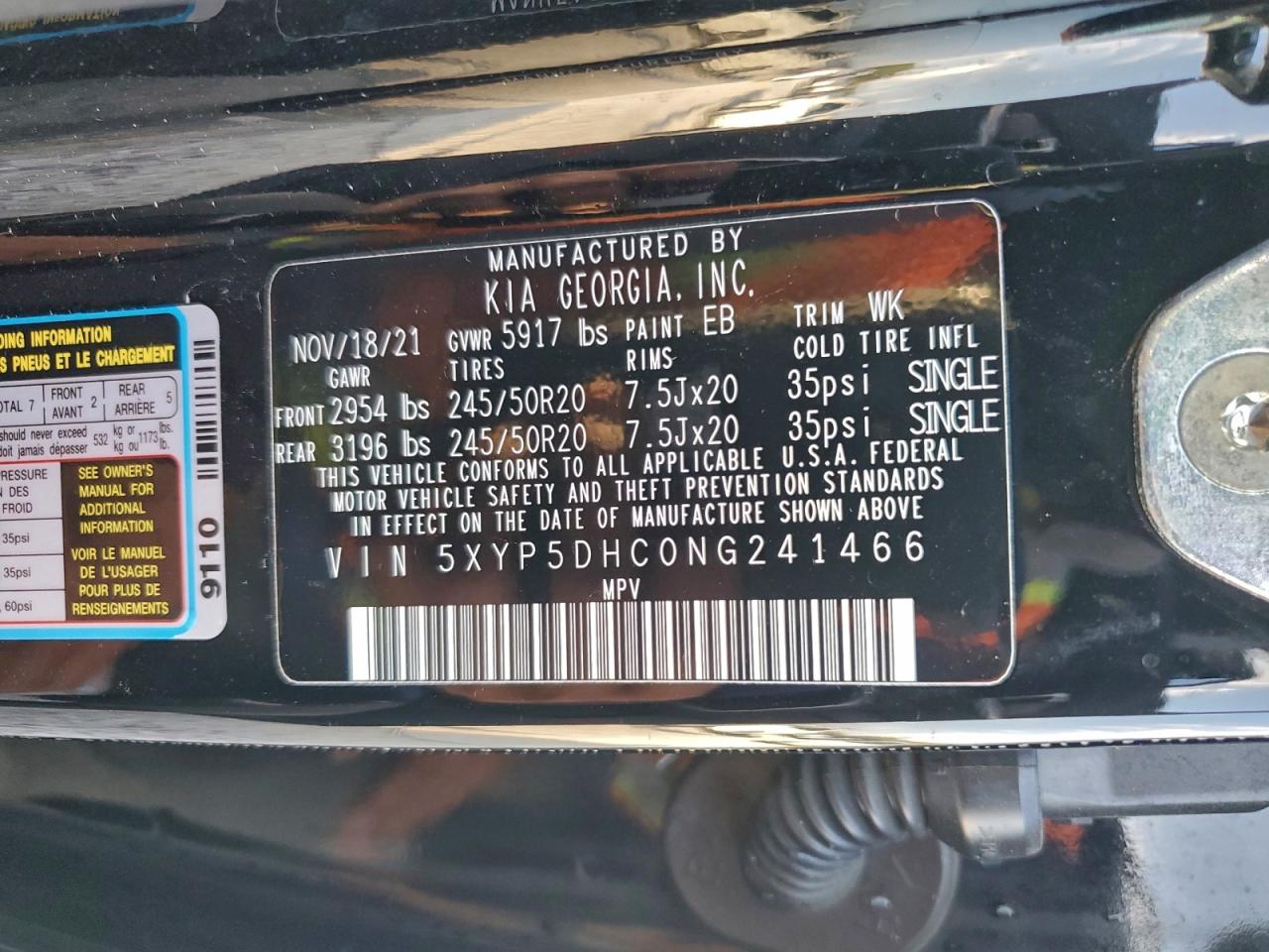 2022 Kia Telluride Sx VIN: 5XYP5DHC0NG241466 Lot: 94136045