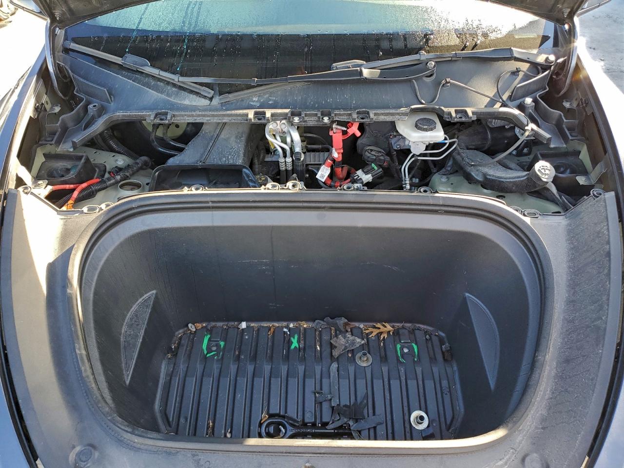 2023 Tesla Model Y VIN: 7SAYGDEF4PF831583 Lot: 93538075