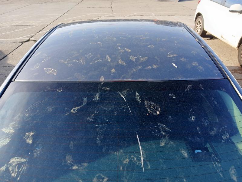 2019 MAZDA 6 2.0 SE-L NAV+ 4DR AUTO