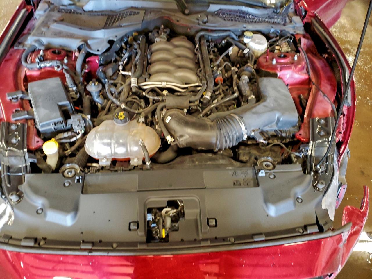 2019 Ford Mustang Gt VIN: 1FA6P8CF3K5103686 Lot: 94101745