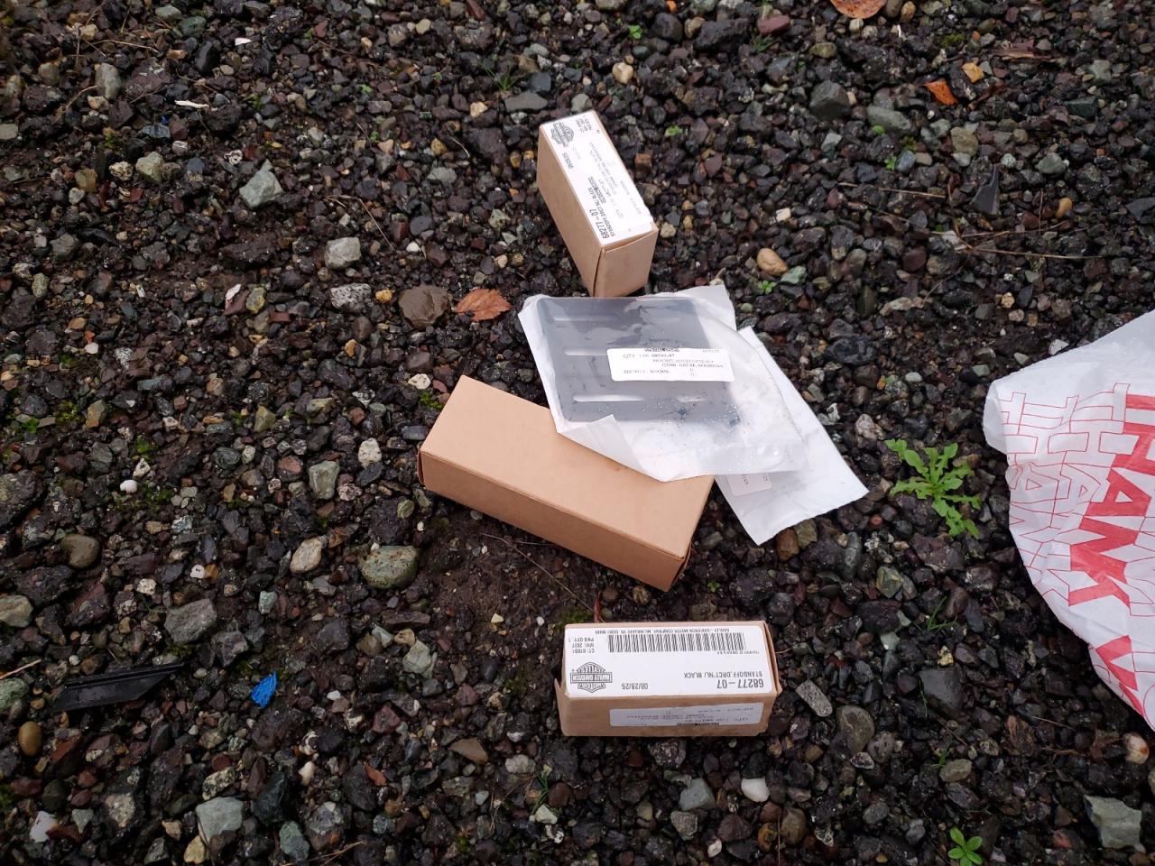 2022 Harley-Davidson Xl1200 X VIN: 1HD1LC31XNB401907 Lot: 92902185