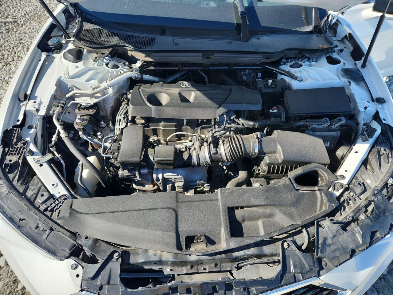 2023 Acura Tlx VIN: 19UUB5F33PA004799 Lot: 91353425