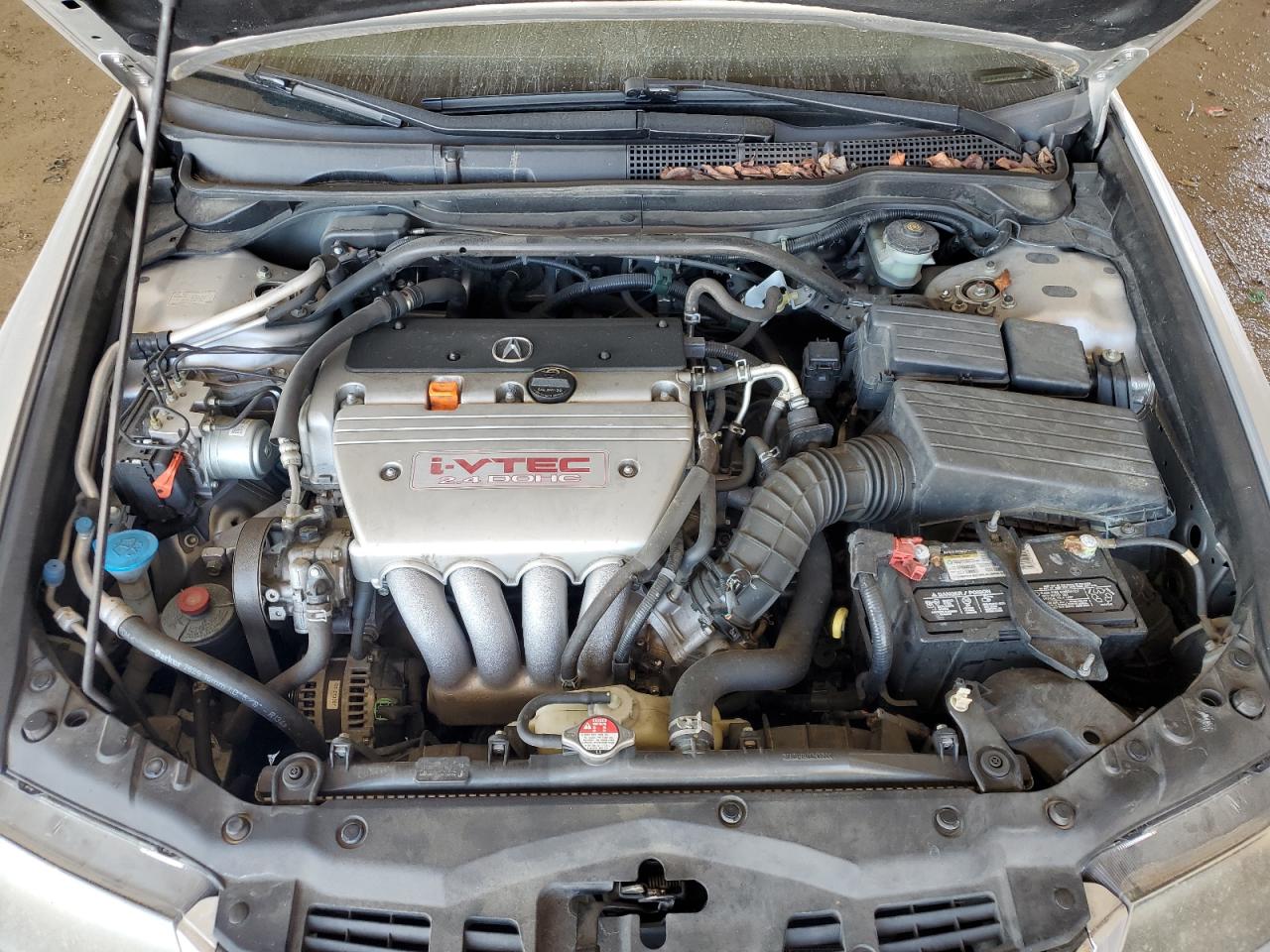 2008 Acura Tsx VIN: JH4CL96908C003732 Lot: 91451715