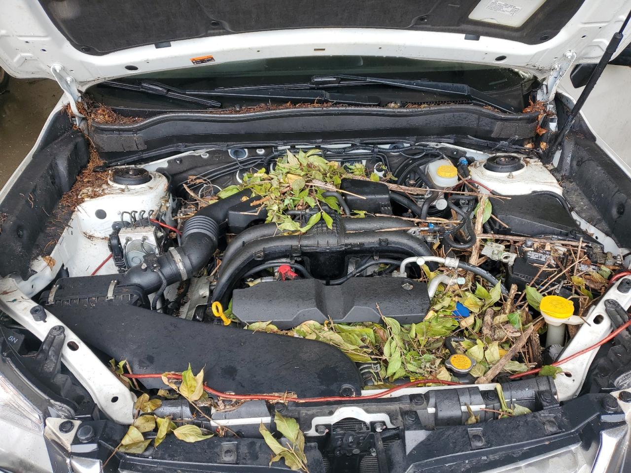 2018 Subaru Forester 2.5I VIN: JF2SJABC0JH473162 Lot: 90873405