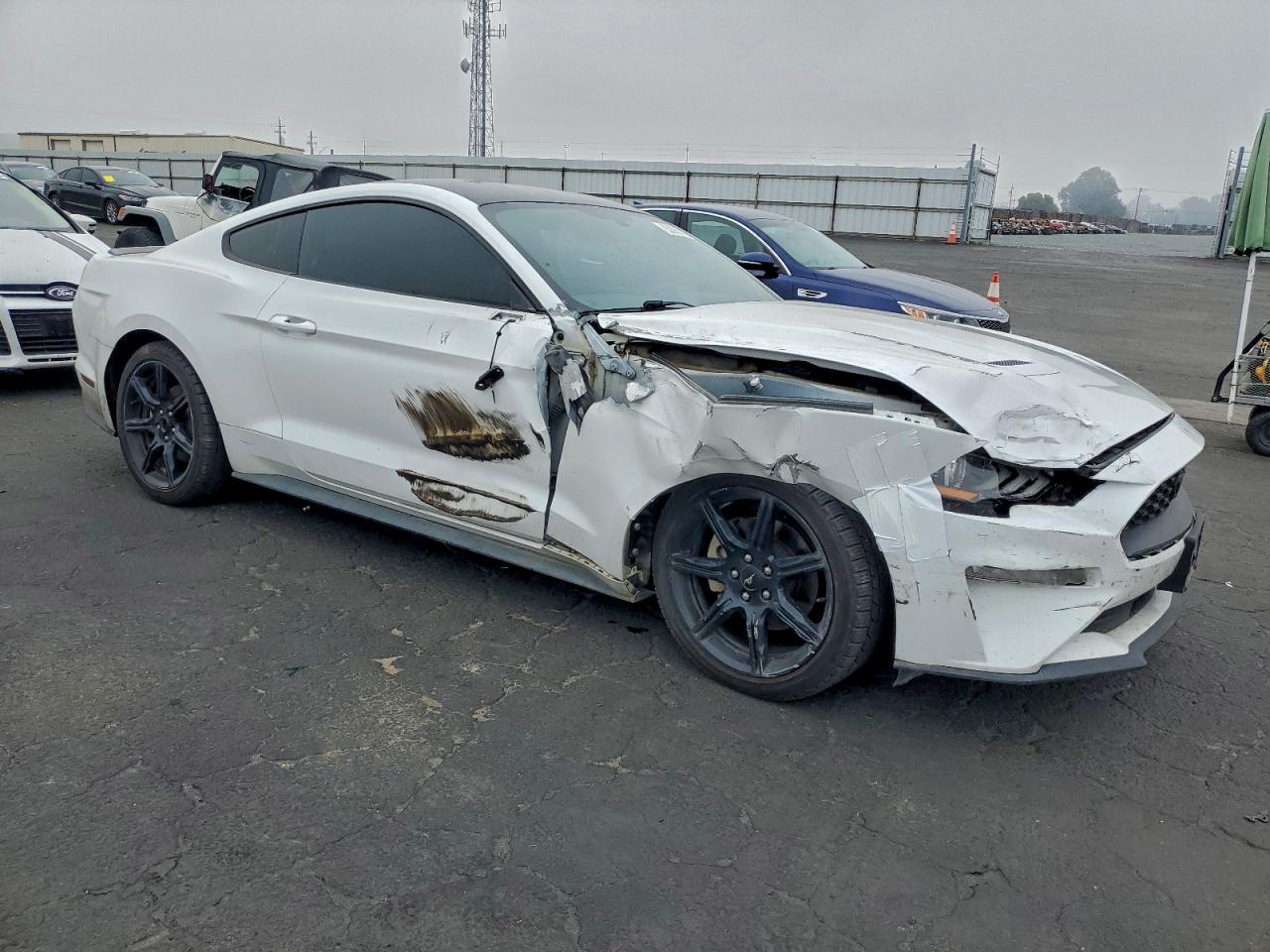 2019 Ford Mustang VIN: 1FA6P8THXK5135567 Lot: 93893915