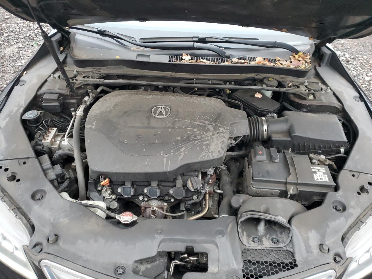 2015 Acura Tlx VIN: 19UUB2F35FA020449 Lot: 93201285