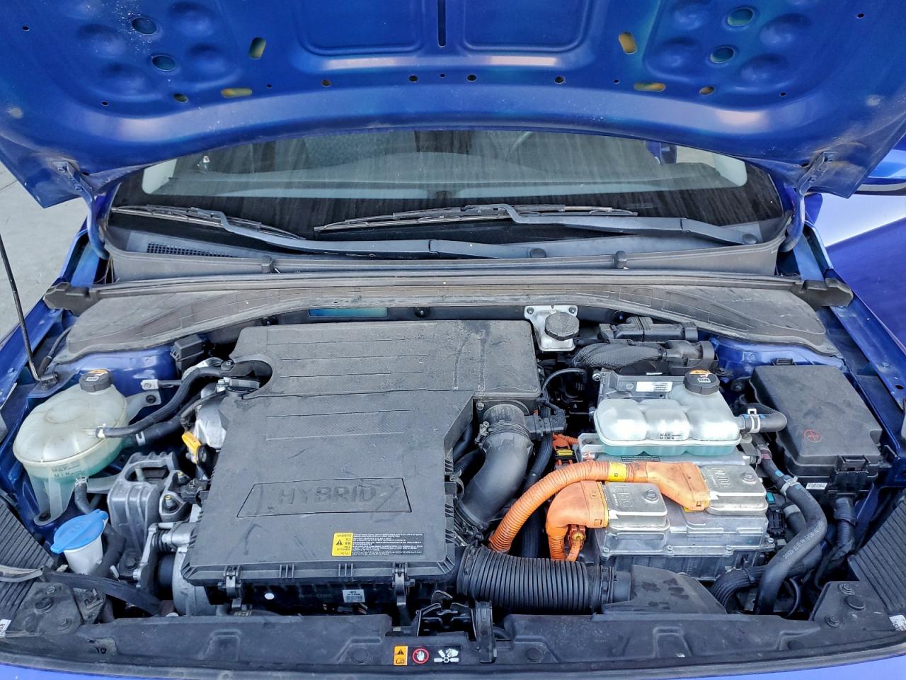 2019 Hyundai Ioniq Blue VIN: KMHC65LC3KU175624 Lot: 94176605