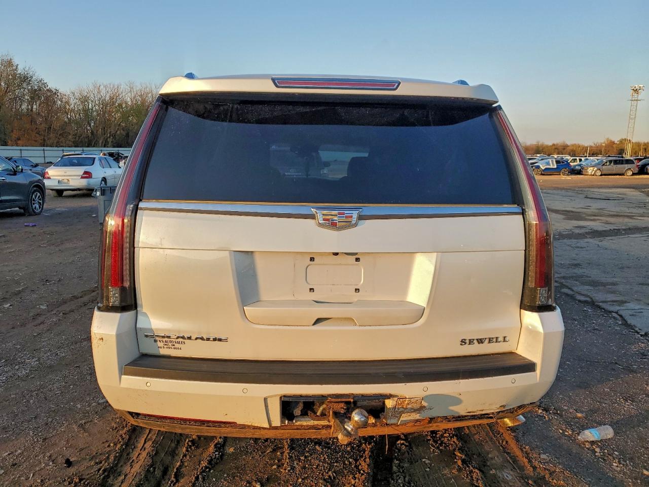 2015 Cadillac Escalade Luxury VIN: 1GYS3MKJ2FR566575 Lot: 94117555