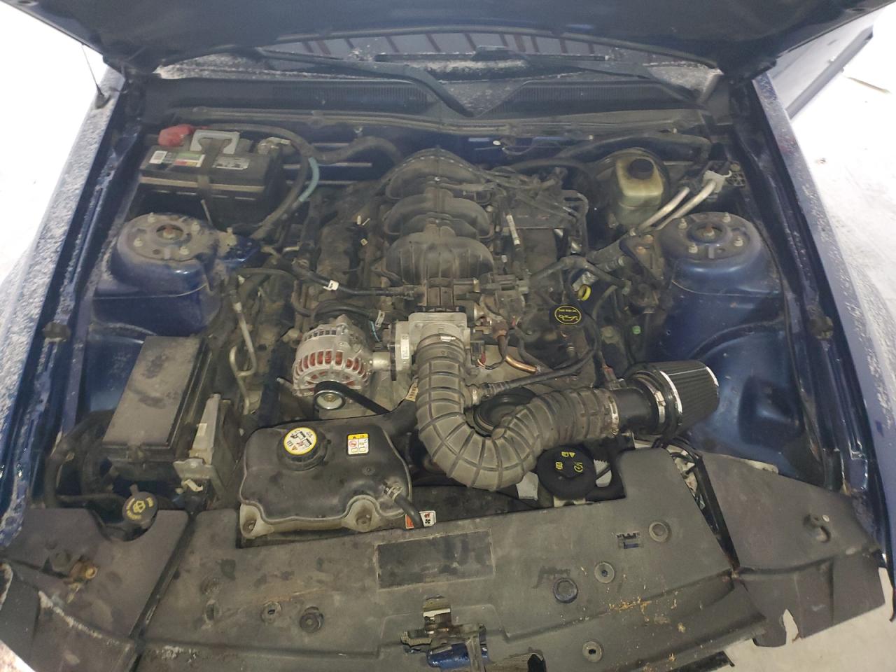 2006 Ford Mustang VIN: 1ZVFT80N565153249 Lot: 91665105