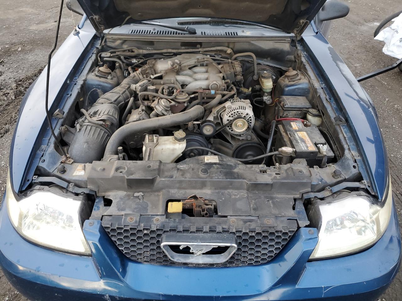 2000 Ford Mustang VIN: 1FAFP4443YF239454 Lot: 92201135