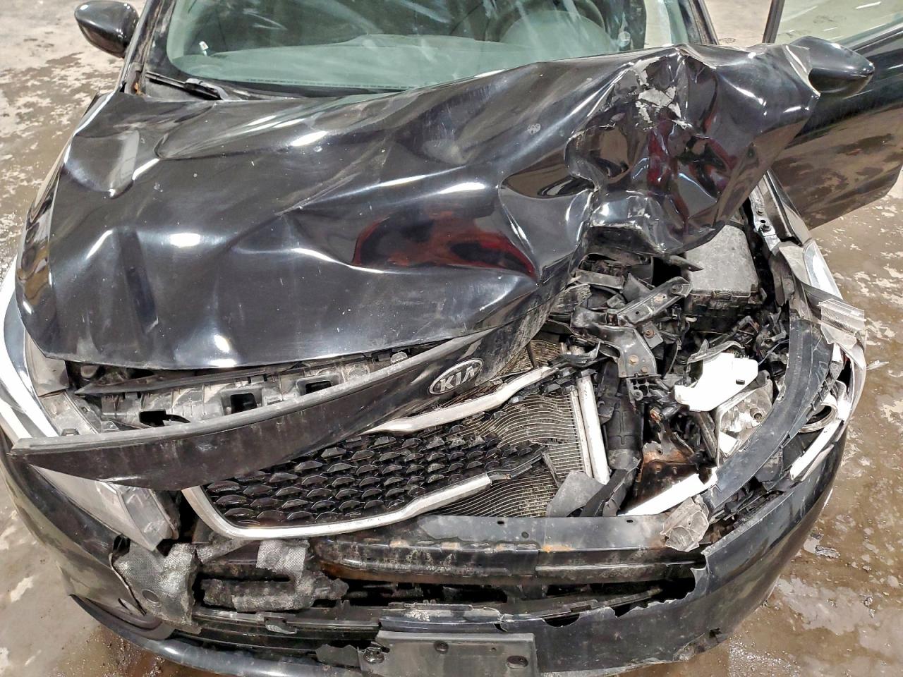 2017 Kia Forte Lx VIN: 3KPFK4A75HE160580 Lot: 94112045