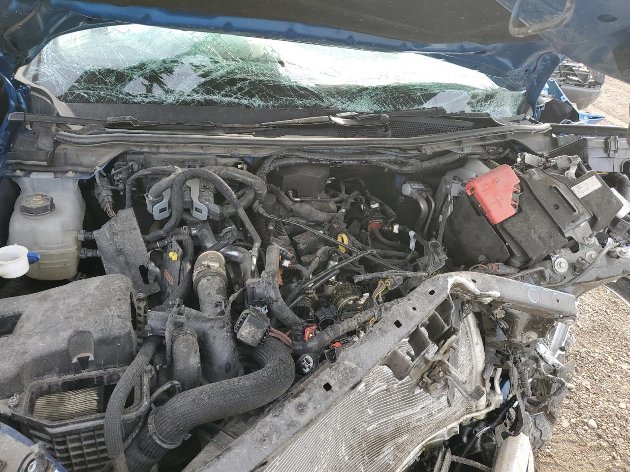 2024 Ford Ranger Xlt VIN: 1FTER4HH3RLE25950 Lot: 91781355