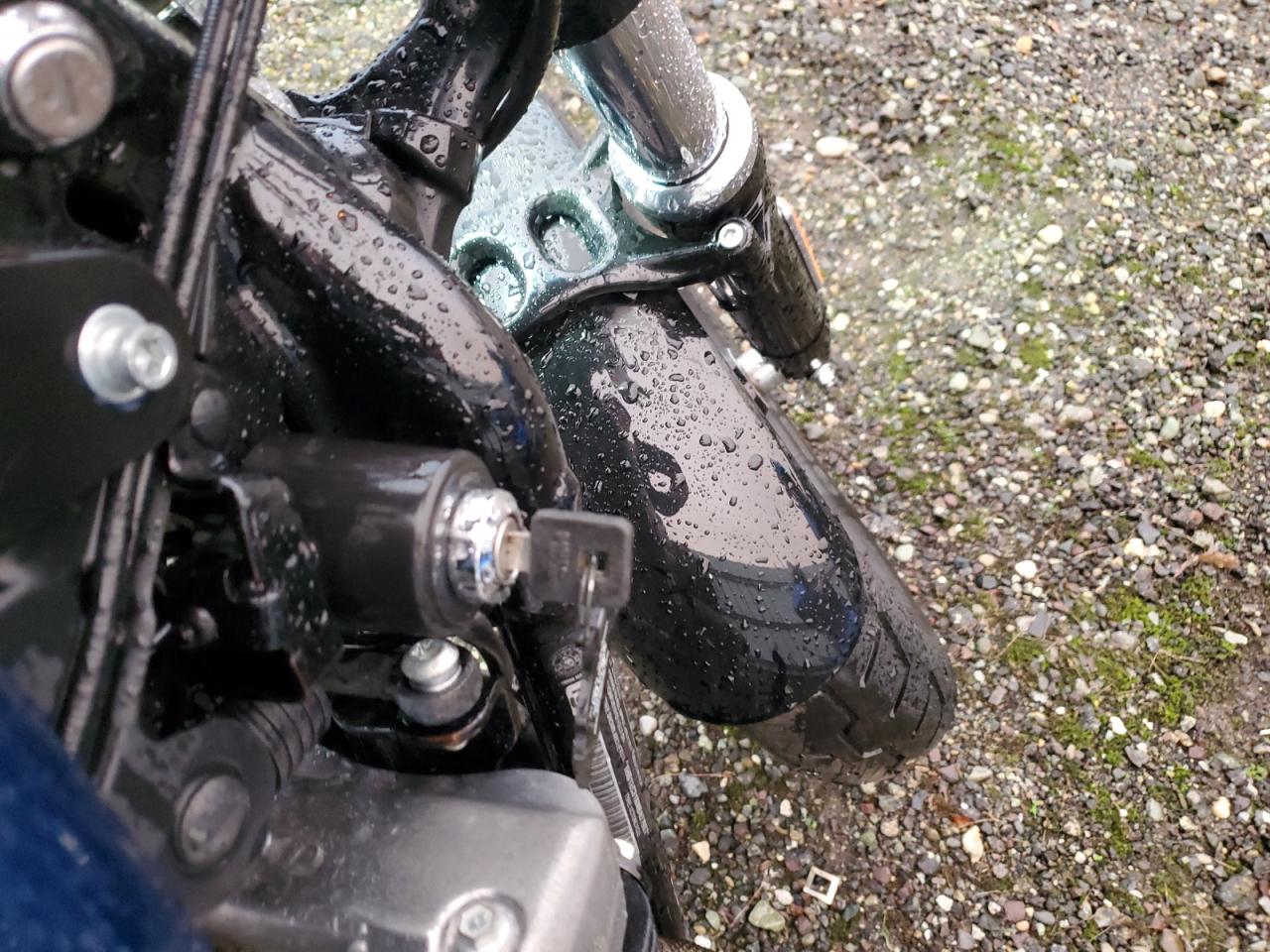 2022 Harley-Davidson Xl1200 X VIN: 1HD1LC31XNB401907 Lot: 92902185