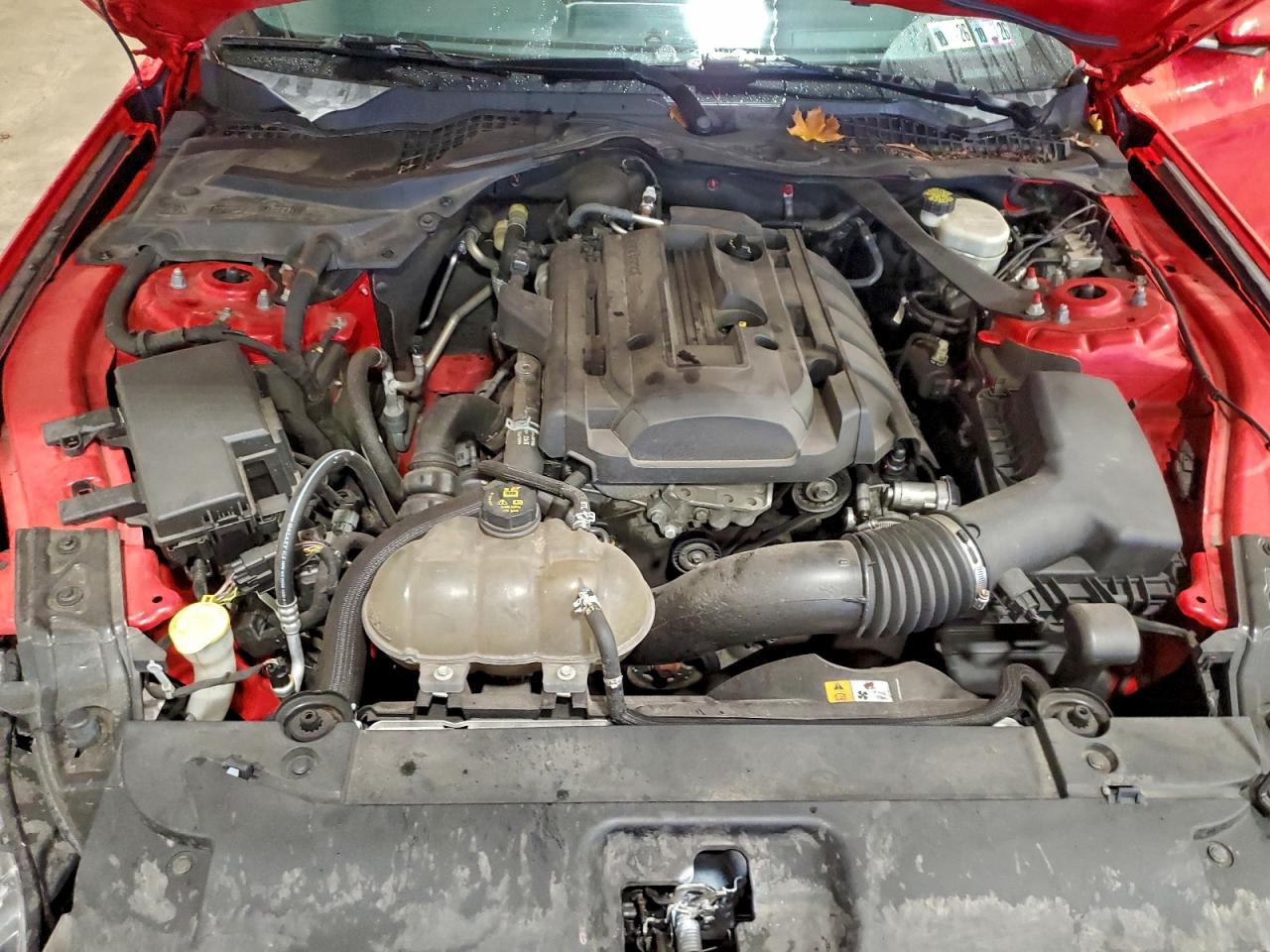 2016 Ford Mustang VIN: 1FATP8UH4G5231929 Lot: 94226335