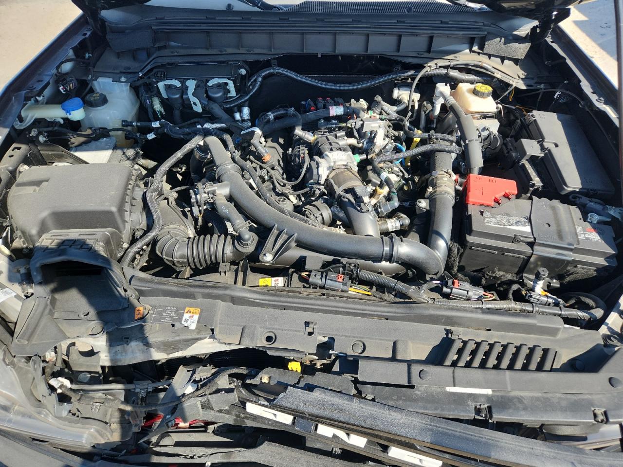 2023 Ford Bronco Base VIN: 1FMEE5DPXPLB50441 Lot: 91847065