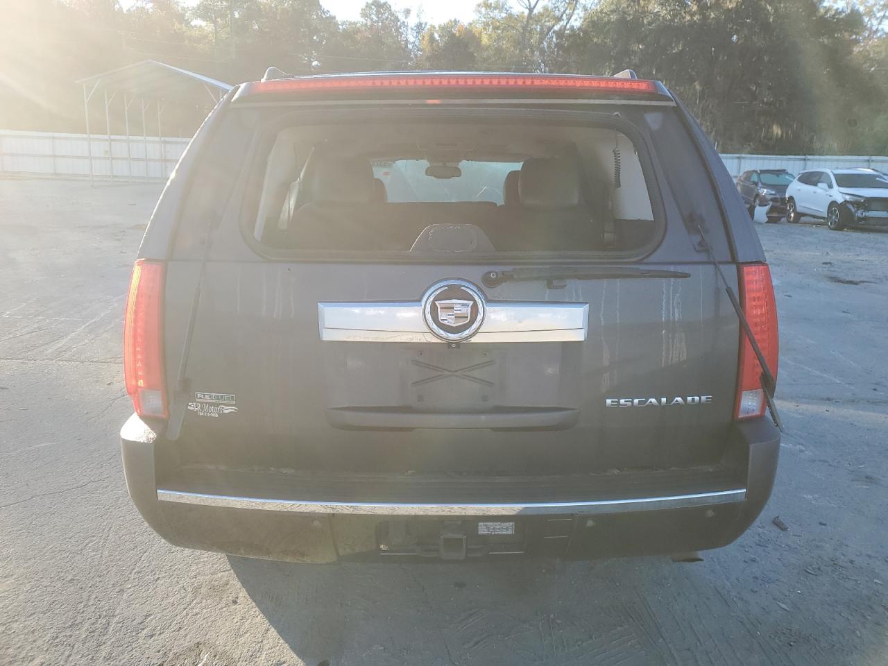 2010 Cadillac Escalade Luxury VIN: 1GYUCBEFXAR204071 Lot: 93287875