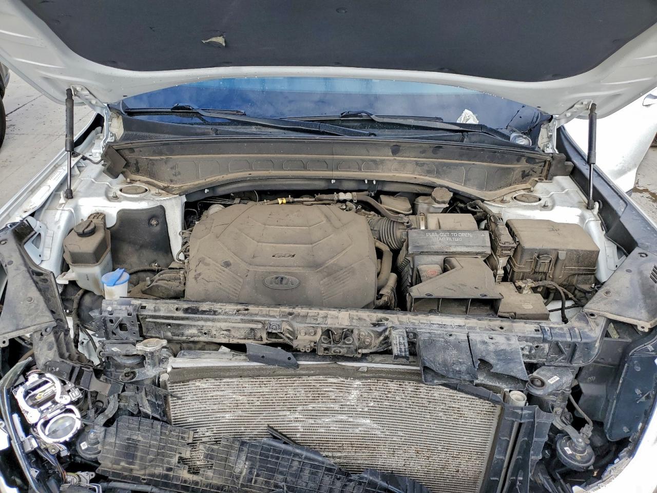 2020 Kia Telluride Sx VIN: 5XYP5DHC6LG027188 Lot: 93724675