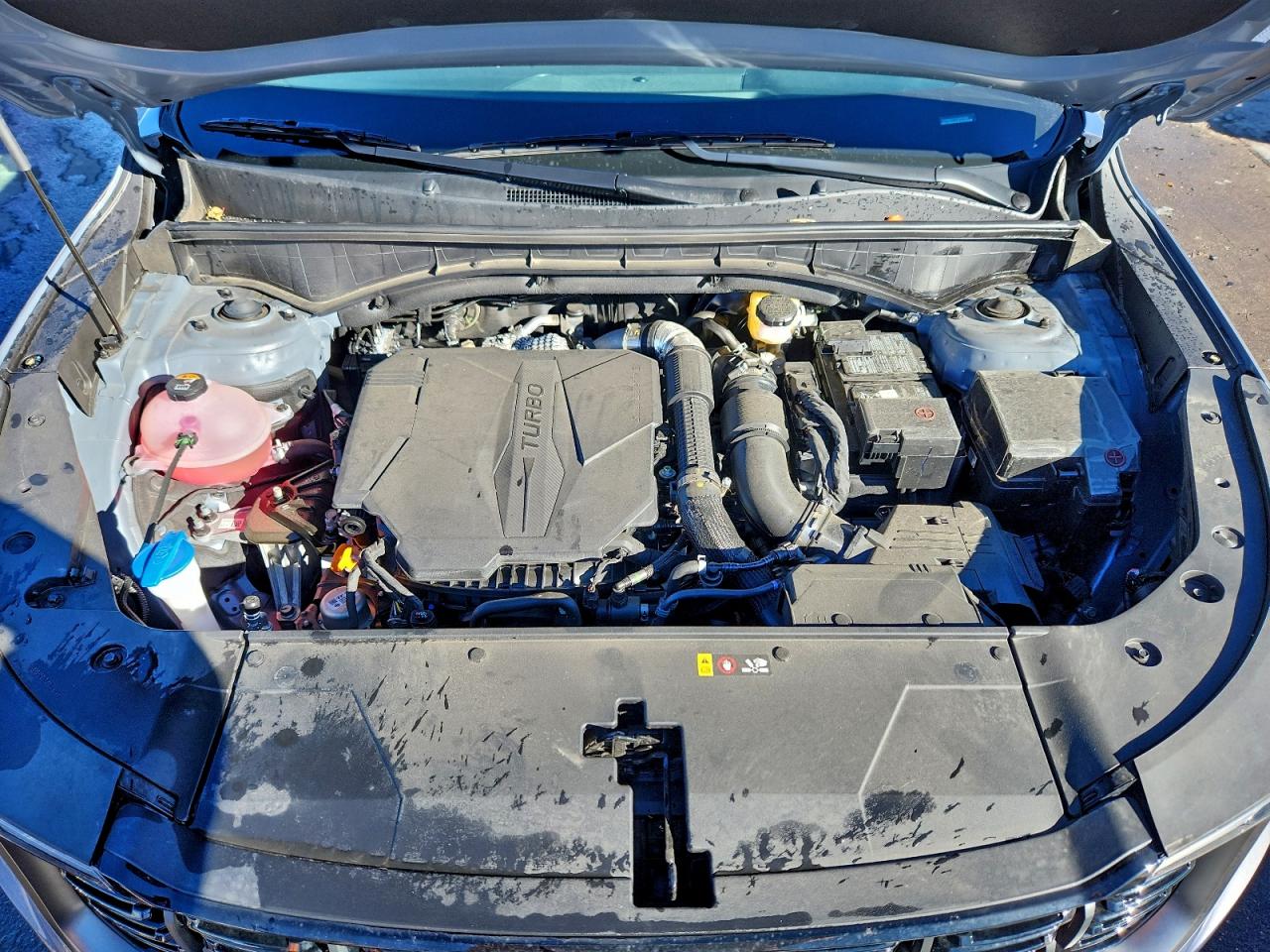 2025 Kia Sorento Ex VIN: 5XYRHDJF2SG393569 Lot: 94073295