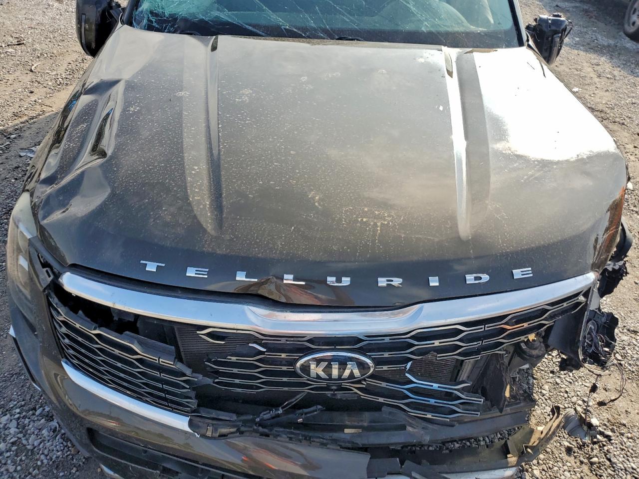 2020 Kia Telluride Sx VIN: 5XYP54HC7LG012084 Lot: 93733295