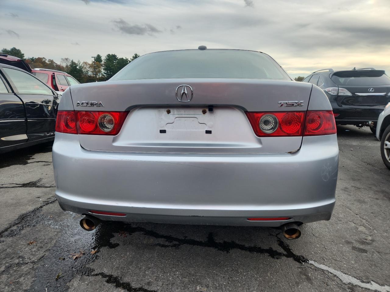 2008 Acura Tsx VIN: JH4CL96868C005590 Lot: 91615105