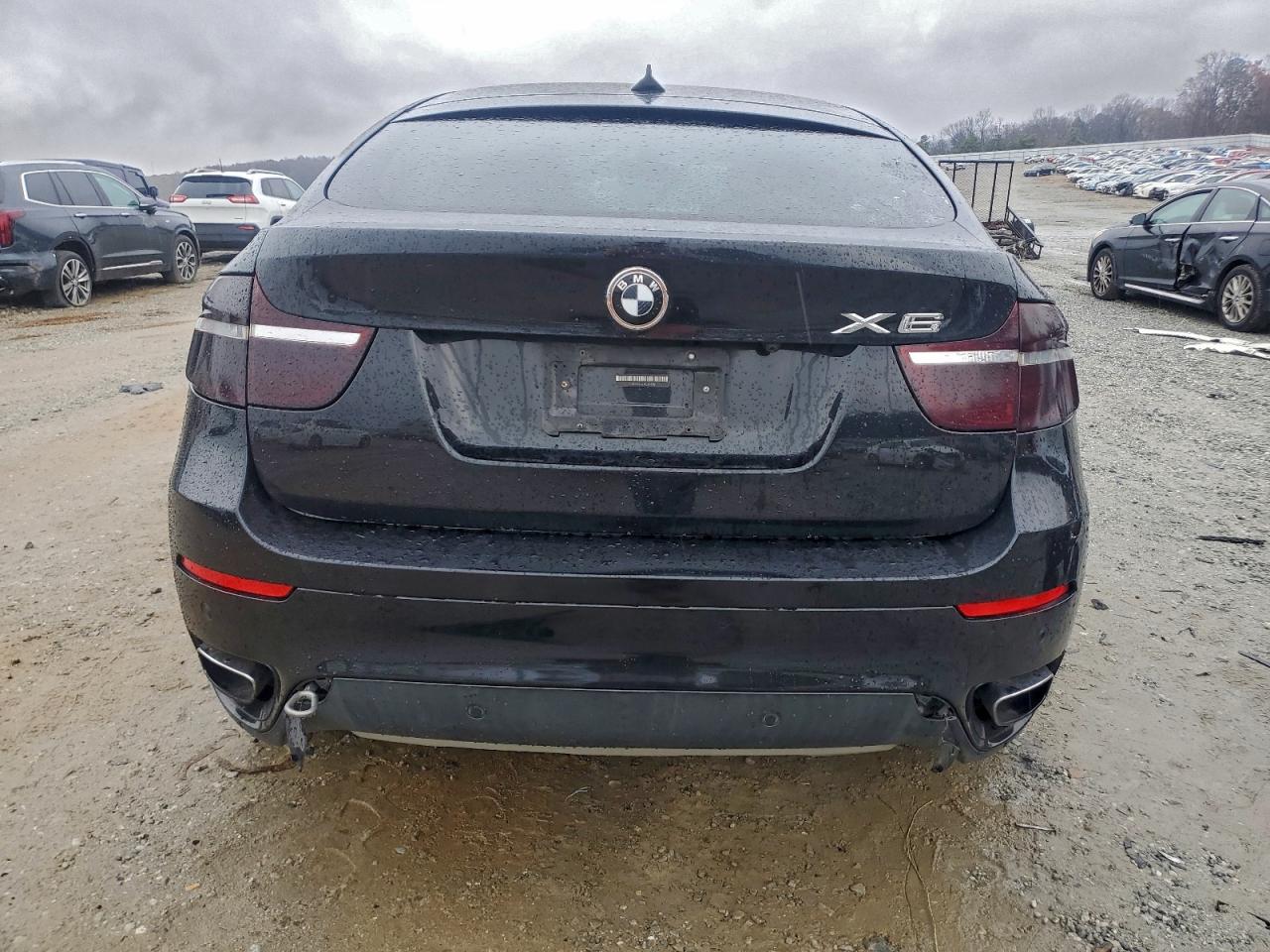 5UXFG83519LZ93112 2009 BMW X6