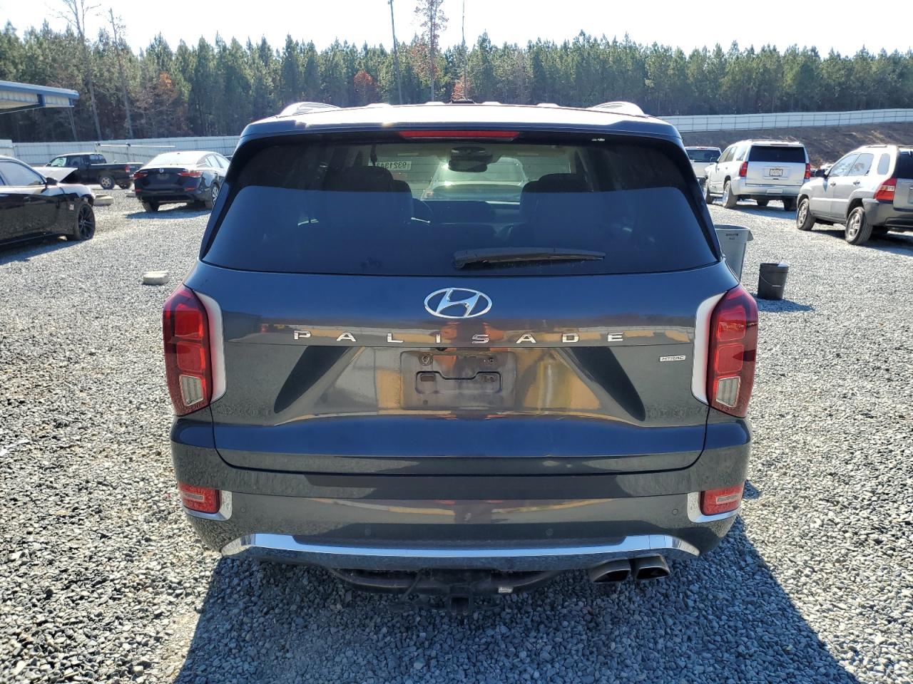 2020 Hyundai Palisade Limited VIN: KM8R5DHE1LU073631 Lot: 93213435