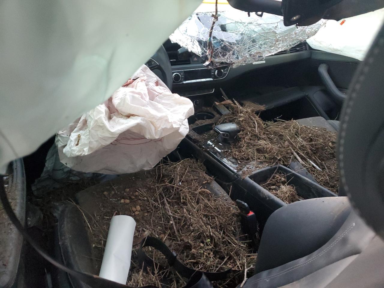 2021 Audi A4 Premium Plus 45 VIN: WAUEAAF46MN007401 Lot: 91642545