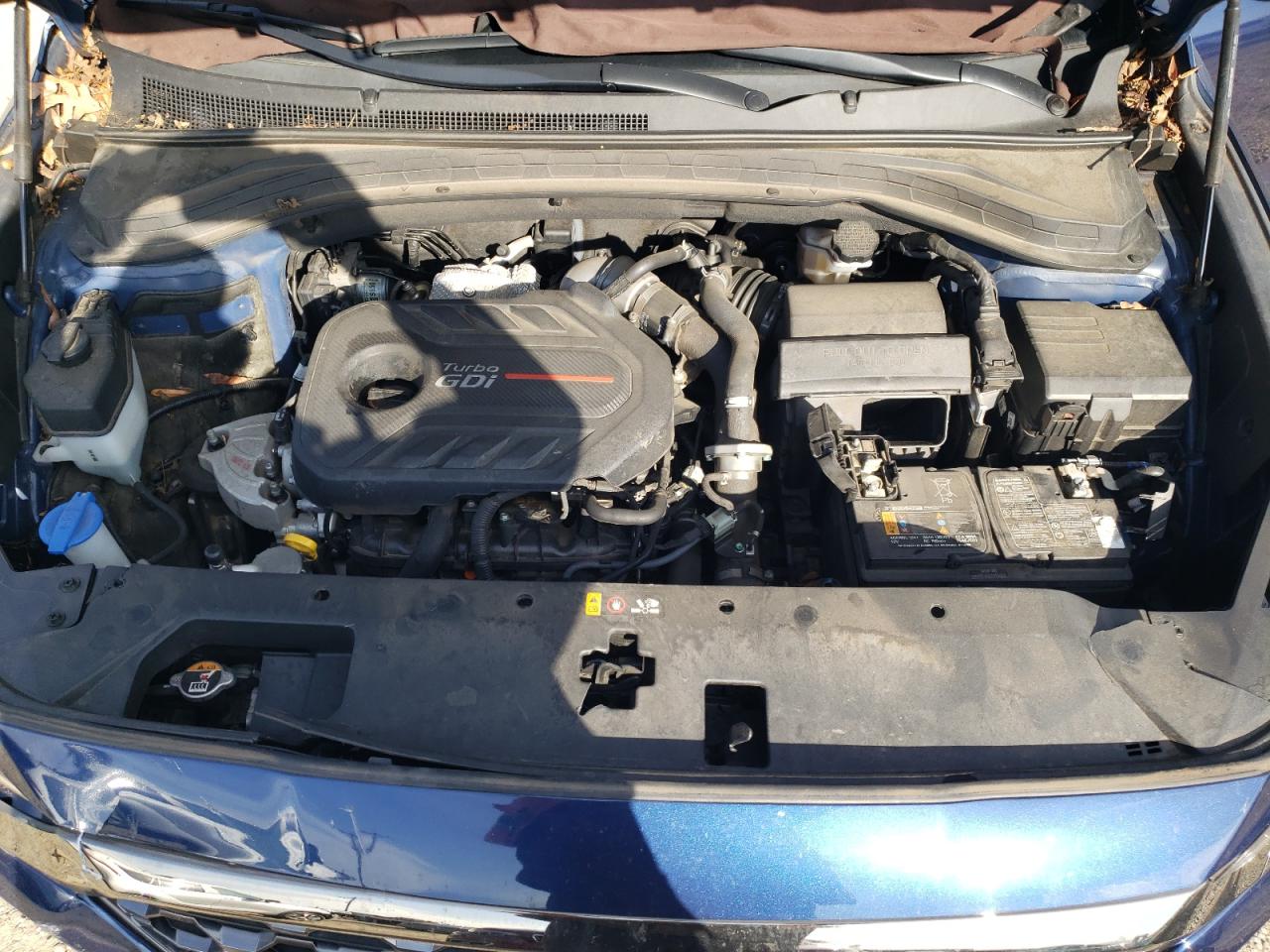 2020 Hyundai Santa Fe Limited VIN: 5NMS5CAA3LH296462 Lot: 93015725