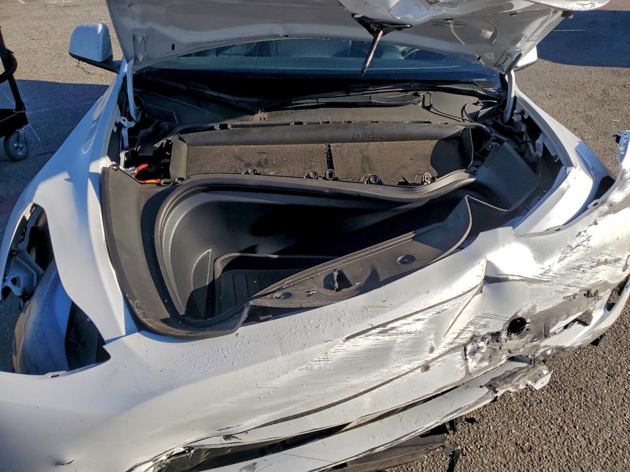 2023 Tesla Model Y VIN: 7SAYGDEF7PF743806 Lot: 94172305