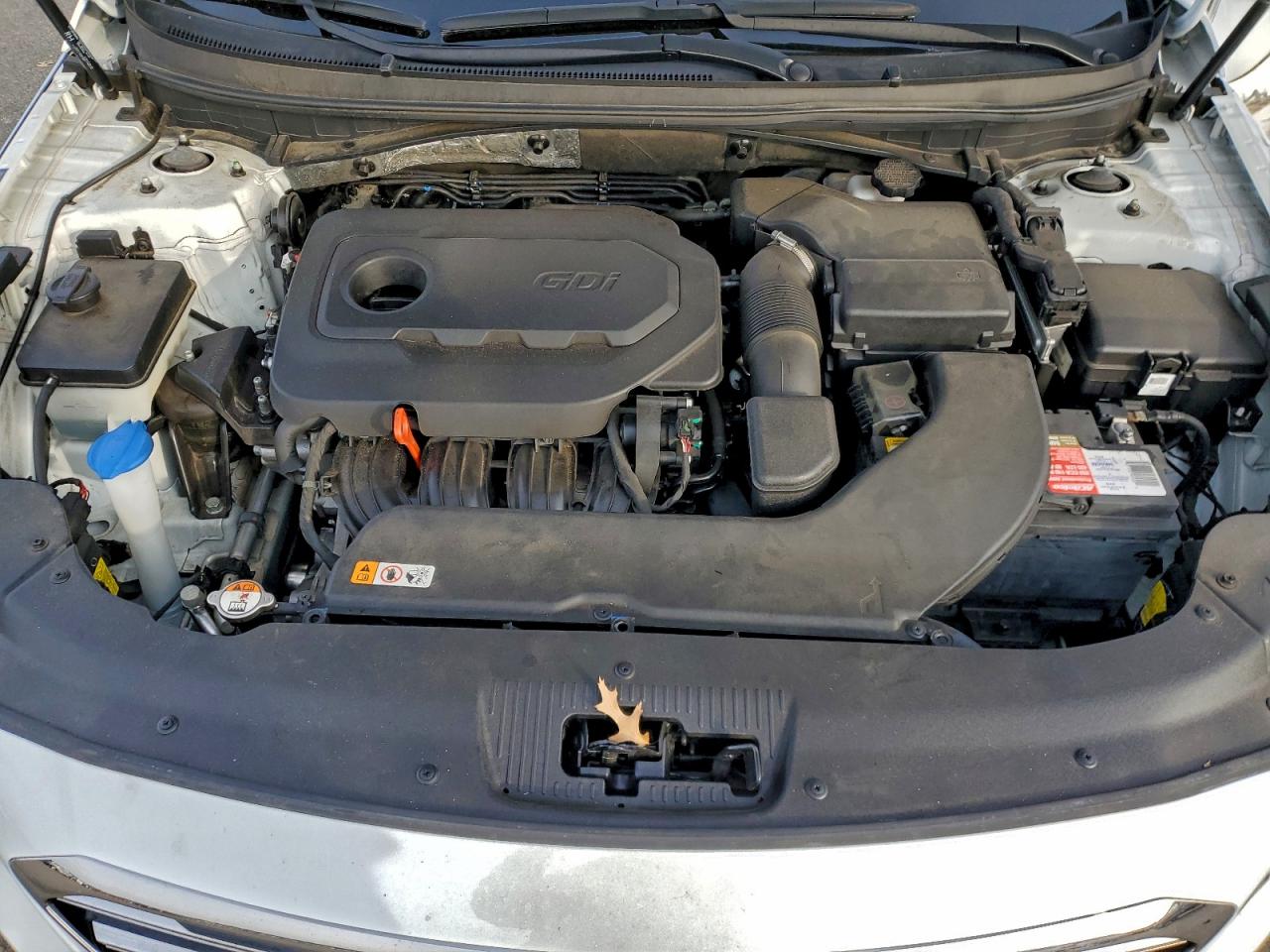 2015 Hyundai Sonata Sport VIN: 5NPE34AF5FH051982 Lot: 93366585