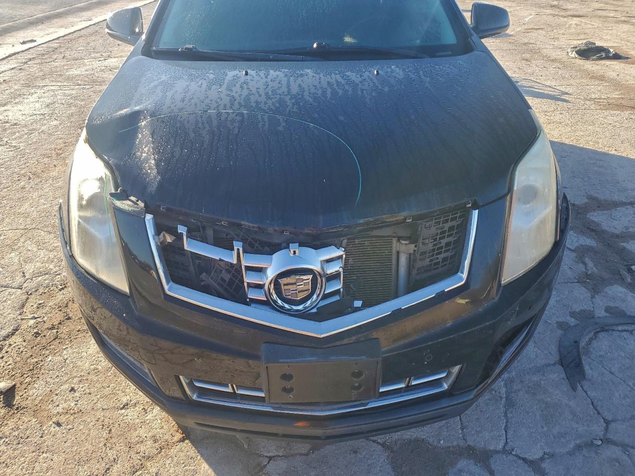 2015 Cadillac Srx Luxury Collection VIN: 3GYFNEE32FS523141 Lot: 92309735